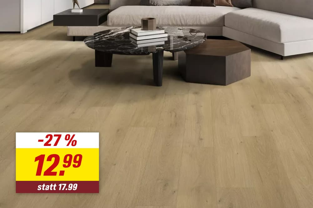 27 % reduziert, für nur 12,99 €