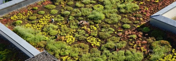 Sedumfläche mit umlaufender Kiesfläche und Attika.