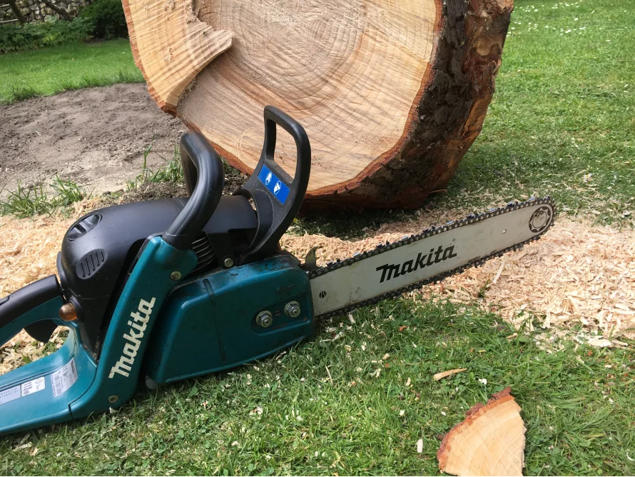 Motorsäge und Baumstamm