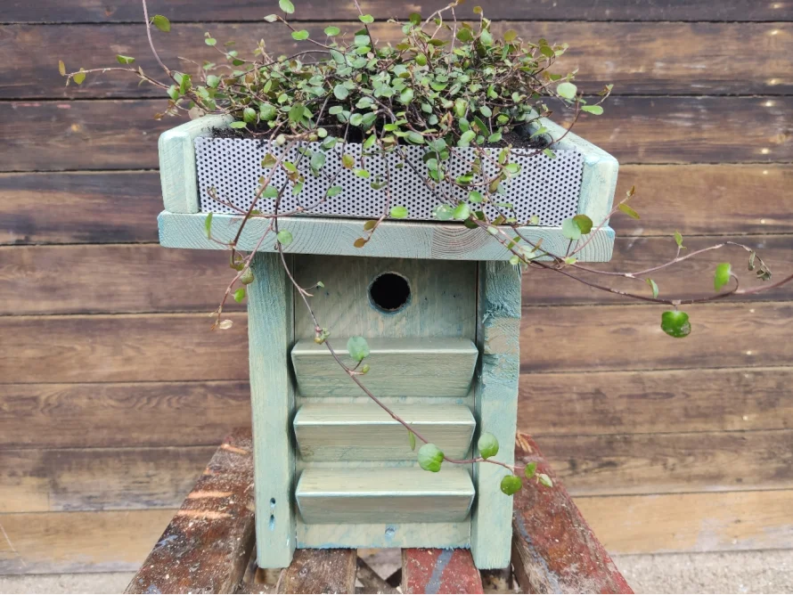 Hellblauer Nistkasten mit Pflanze auf dem Dach