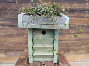 Hellblauer Nistkasten mit Pflanze auf dem Dach