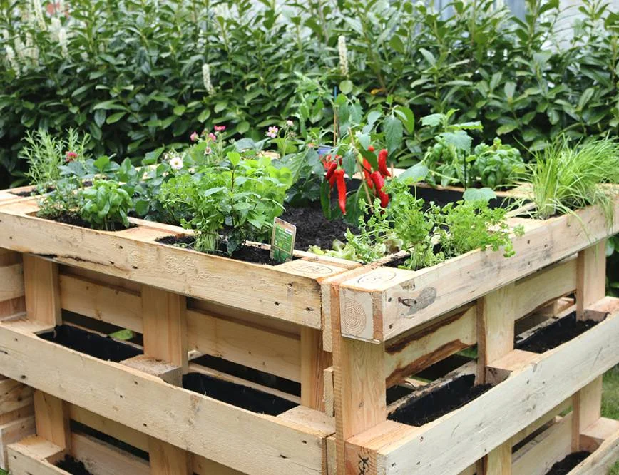 Hochbeet aus Paletten mit Kräutern