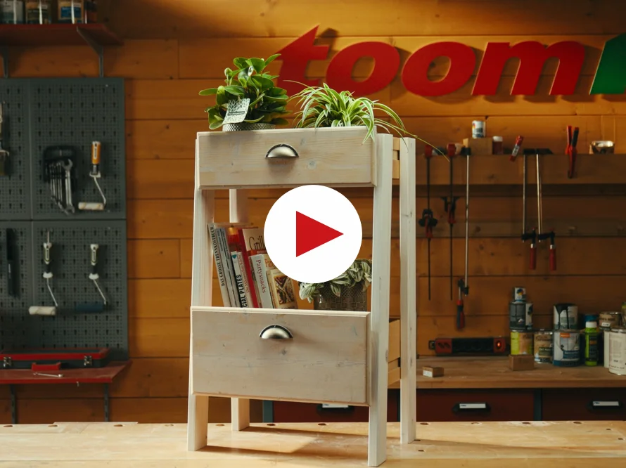 Holzregal mit Pflanzen und Büchern