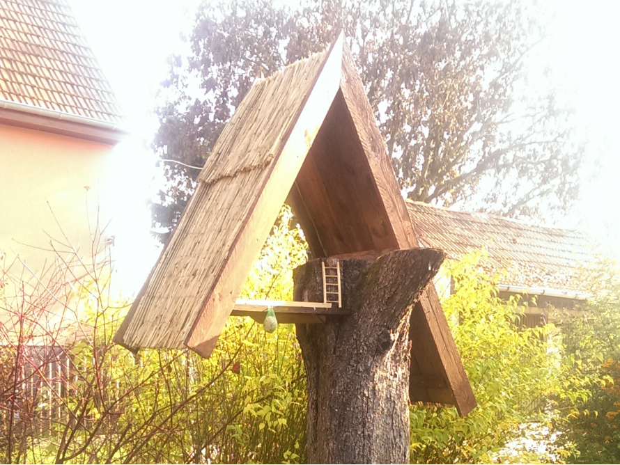 Vogelhaus auf Baumstamm