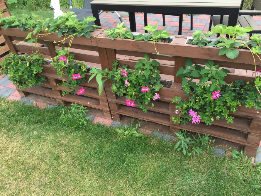 Blumen und Erdbeeren in Hochbeeten