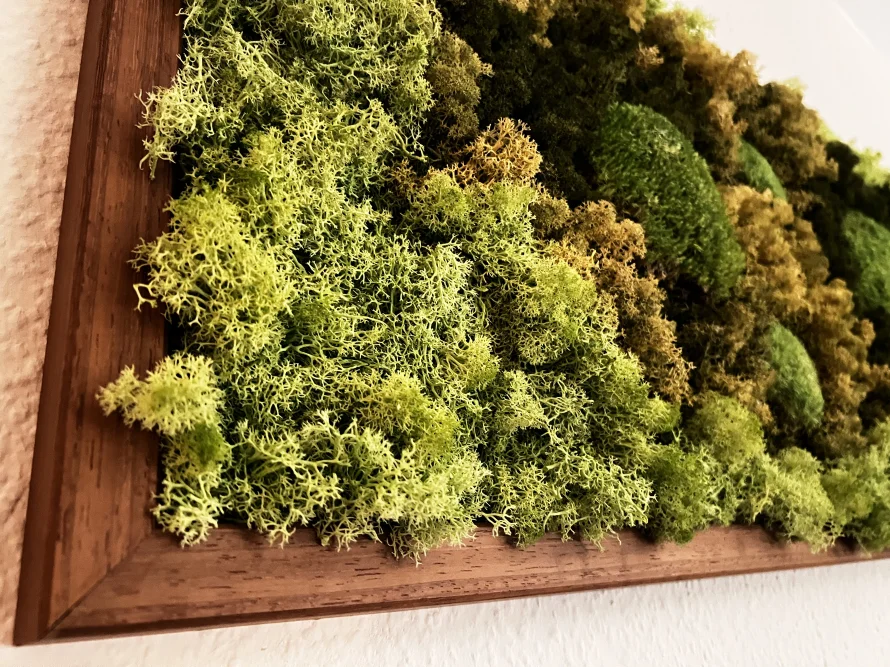 Holzrahmen mit Moosbild an der Wand