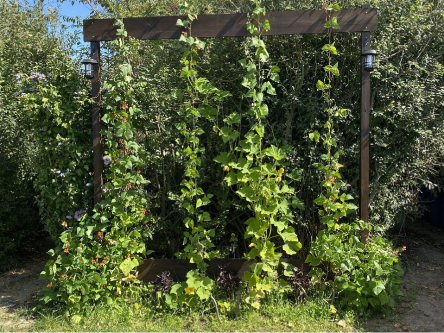 Rankhilfe aus Holz mit Pflanzen
