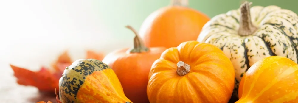 Herbstkürbisse in verschiedenen Farben und Formen