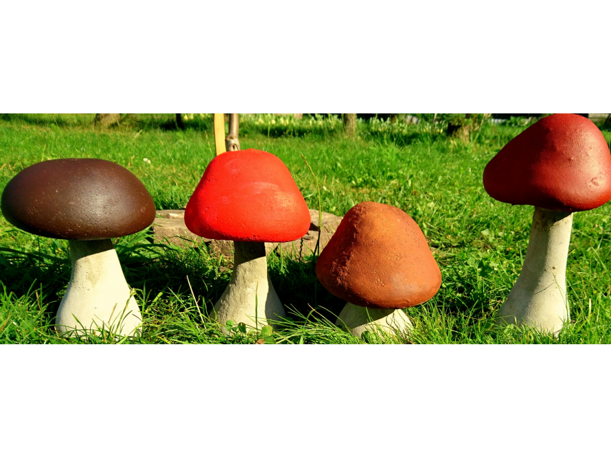 Pilze für den schönen Garten