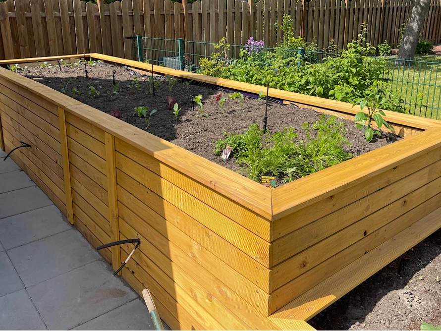 Holz-Hochbeet mit jungen Pflanzen