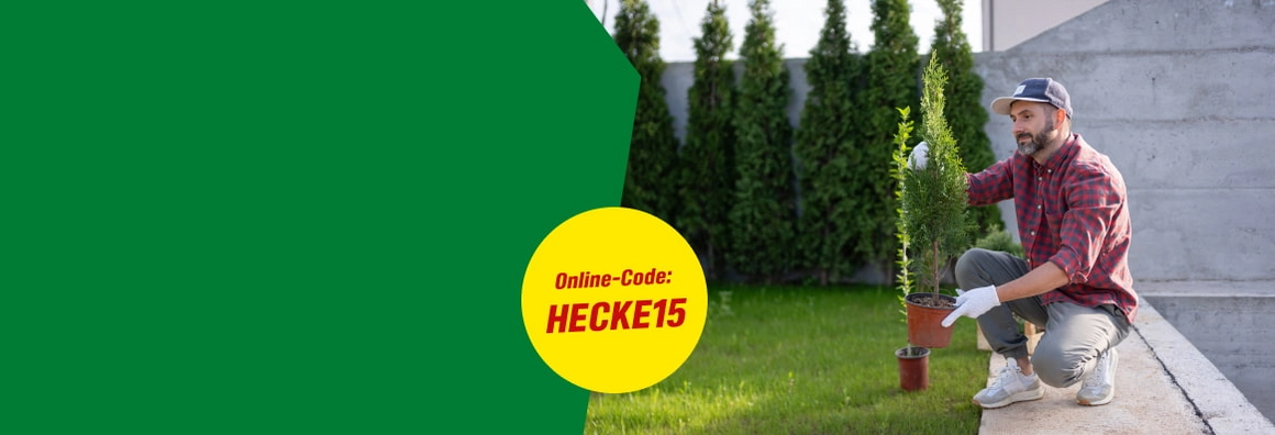 Online-Hecke HECKE15