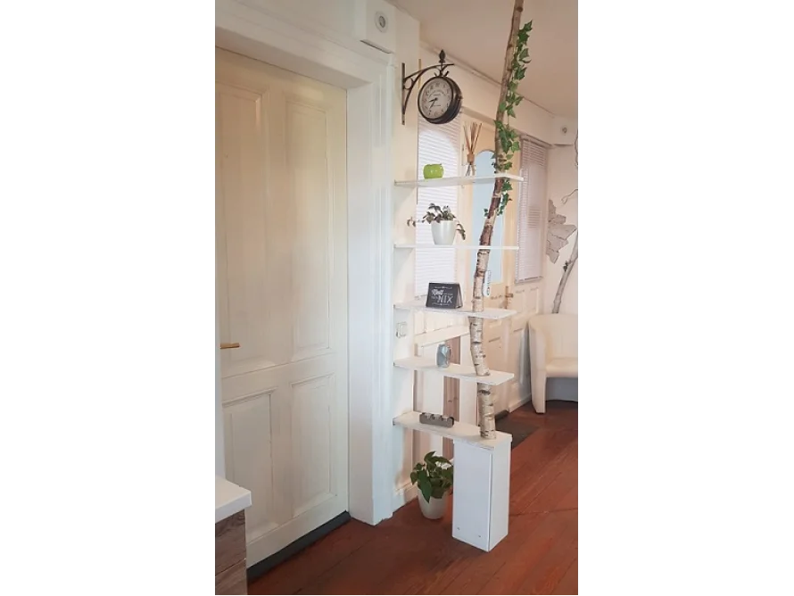 Regal mit Birkenstamm