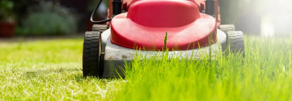 Roter Rasenmäher im grünen Gras