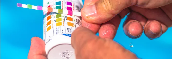 Person hält Teststreifen und Dose über Pool