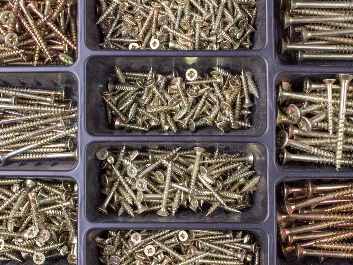 Sortimentskasten mit verschiedenen Schrauben