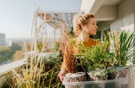 Frau trägt Ziergräser zum Einpflanzen auf der Dachterrasse