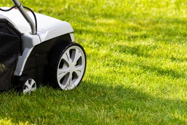 Vertikutierer auf grünem Rasen