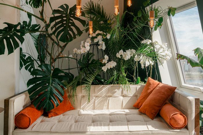 Couch & Pflanzen