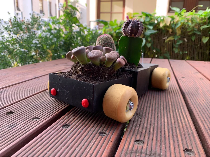 Sukkulenten in einem Miniaturauto-Übertopf