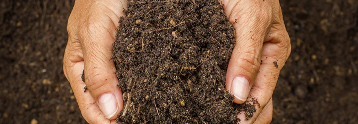 Hände halten dunkle Erde vor erdigem Hintergrund