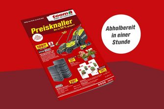 Grundgerüst eines Gartenhauses aus Holz