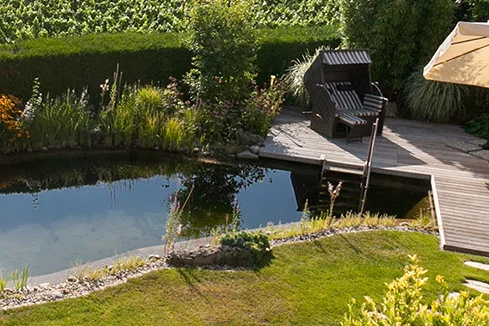 Naturpool im Garten