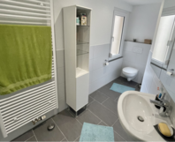 Modernes Badezimmer mit Dusche und WC