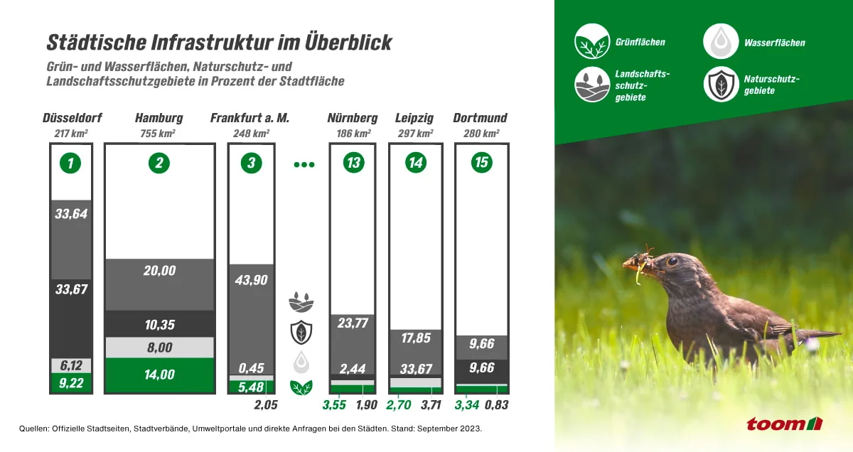 Balkendiagramm, das Grün- und Wasserflächen in deutschen Städten vergleicht.