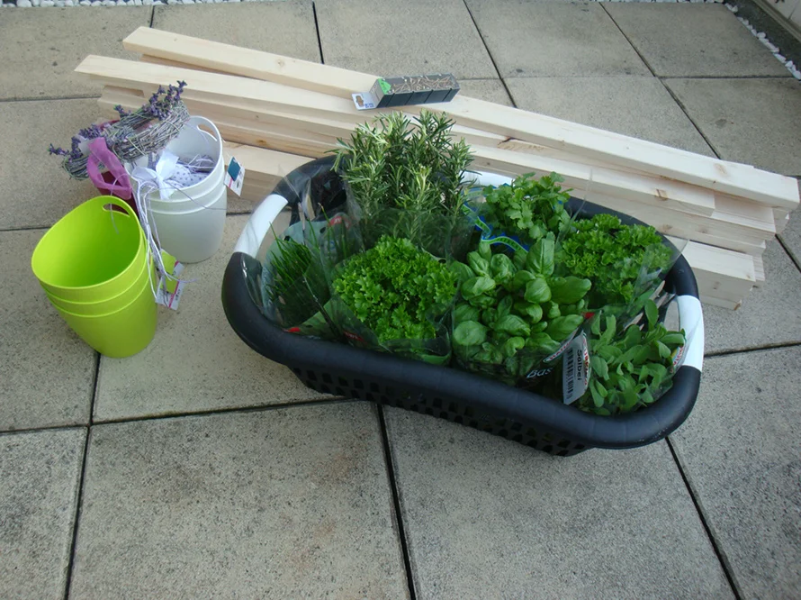 Kräuter und Holzlatten auf Terrasse