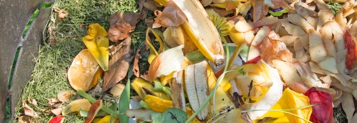 Bioabfälle in einem Komposter