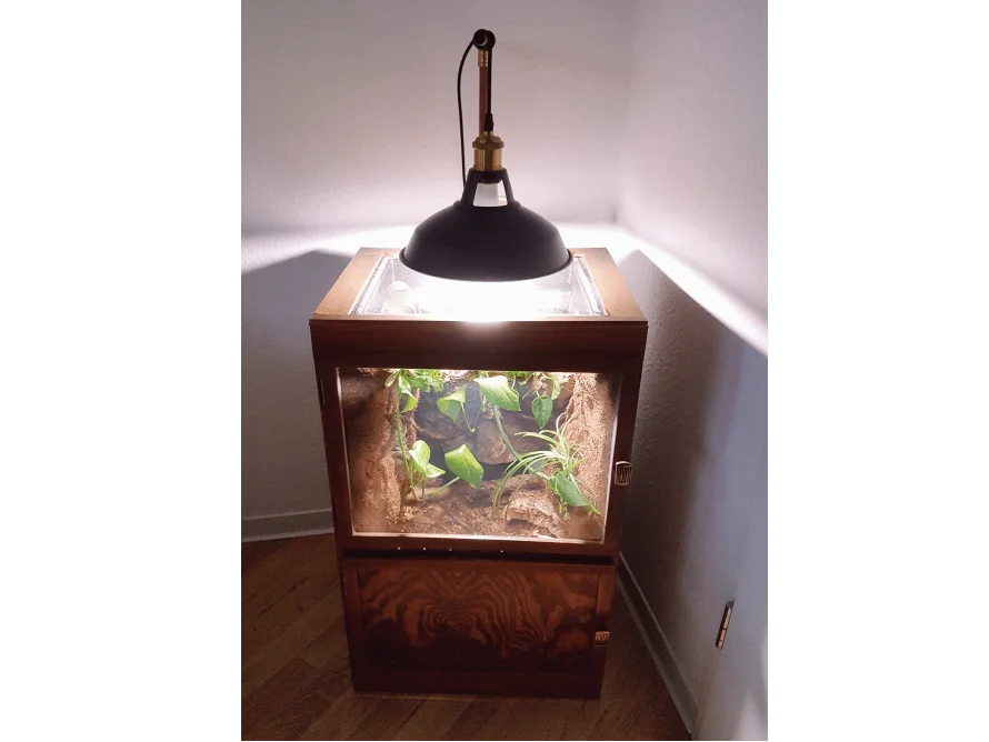 Beleuchtetes Terrarium mit Pflanze