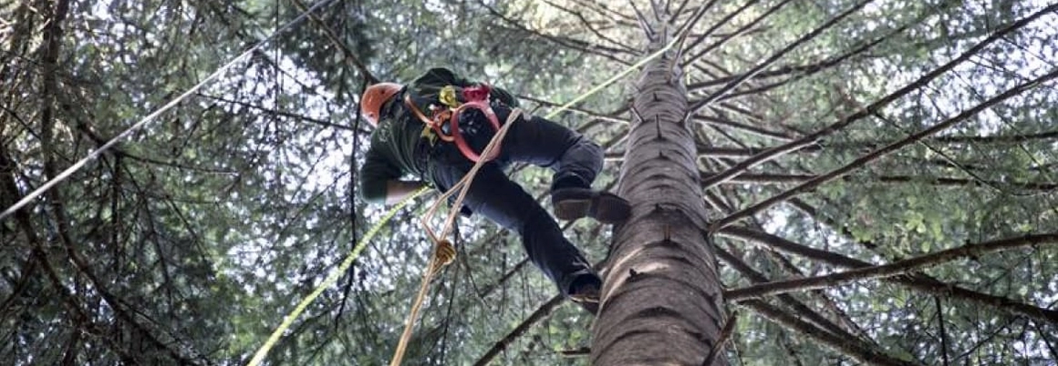 Mann am klettern Headerbild