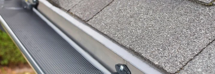 Dachrinne mit Laubschutzgitter