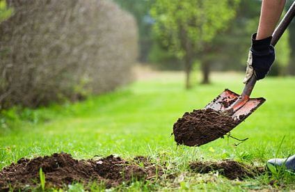 Schritt 2: Fundamentgrube ausheben Schaufel gräbt in Wiese