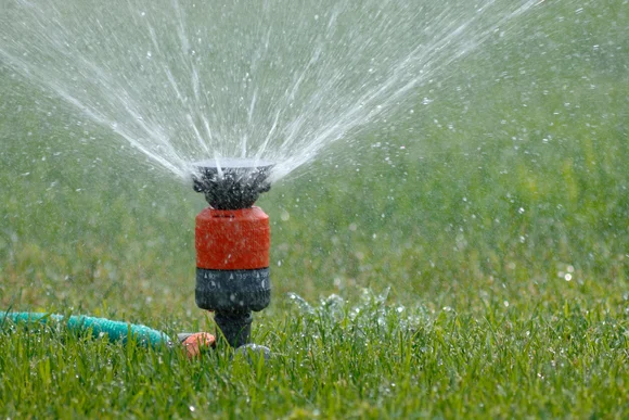 Rasensprenger wässert Rasen