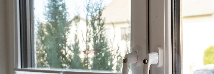 Fenster mit Plissee und Blick ins Freie