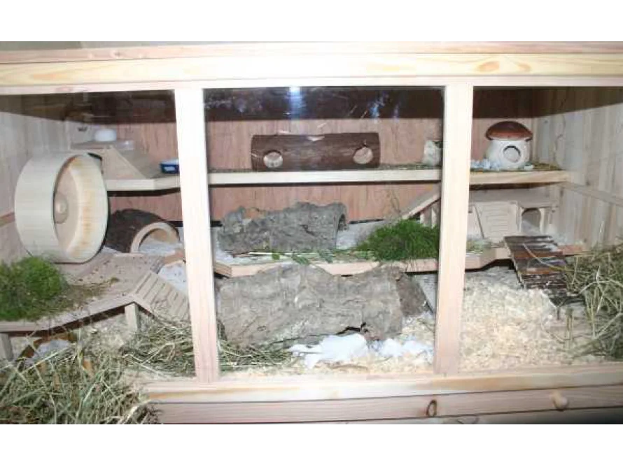 Geräumiger Nagerkäfig aus Holz