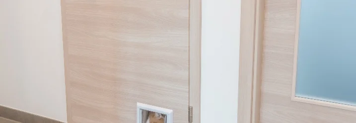 Katzenklappe in einer Holztür