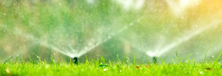 Rasensprenger bewässern Rasen