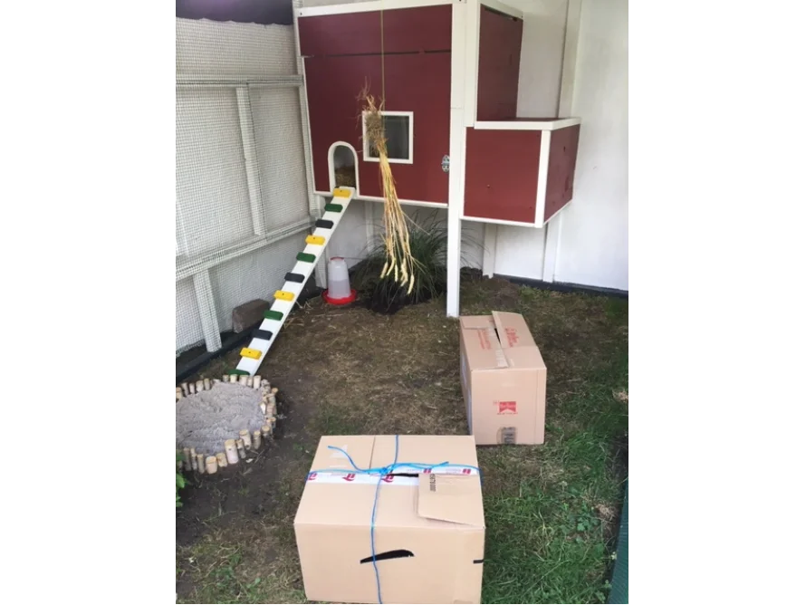 Hühnerstall mit Auslauf