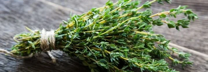 Frischer Thymian gebunden auf Holz