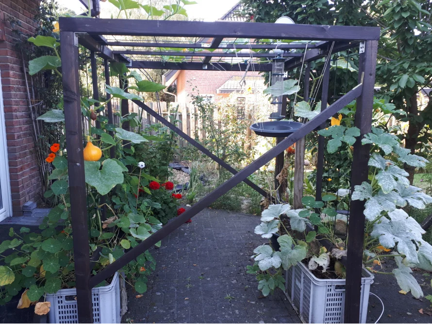 Klettergerüst für Kürbispflanzen