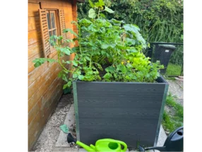 Hochbeet mit verschiedenen Gemüsesorten und Gießkanne