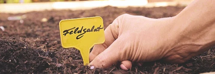 Person steckt Schild in Gemüsebeet