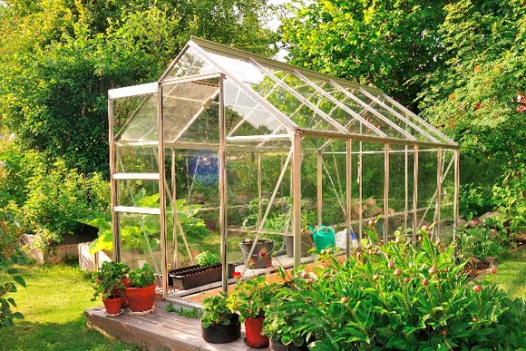 Gewächshaus im Garten mit Gießkanne