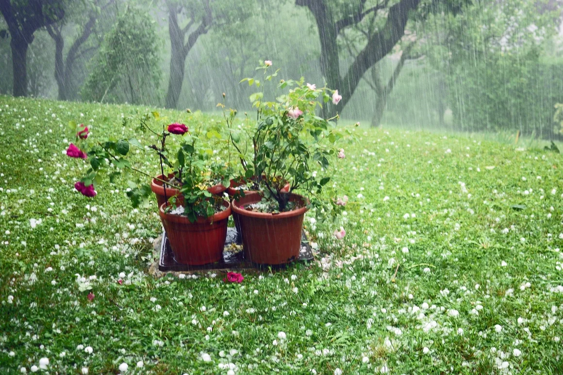 Hagel auf einem Rasen mit Blumentöpfen