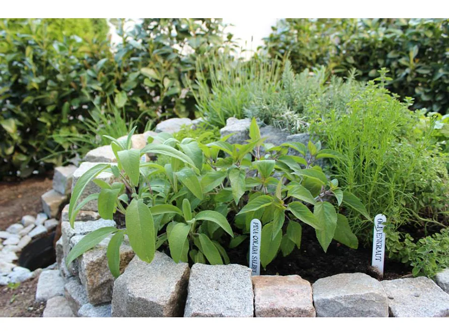 Kräuterbeet aus Granitsteinen