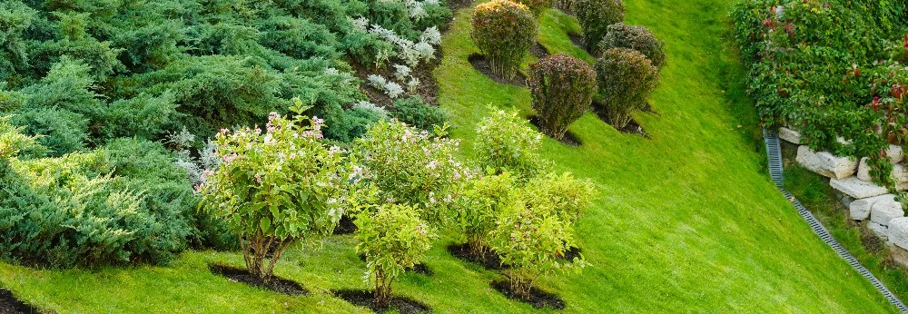 Gepflegter Hanggarten mit verschiedenen Pflanzen