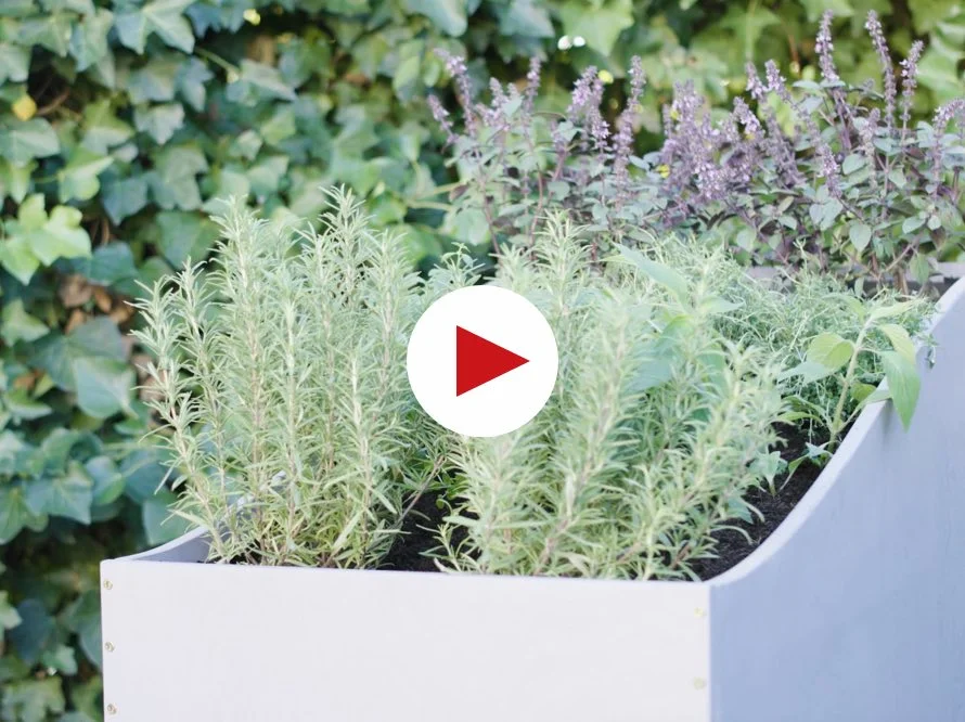 Hochbeet mit Kräutern