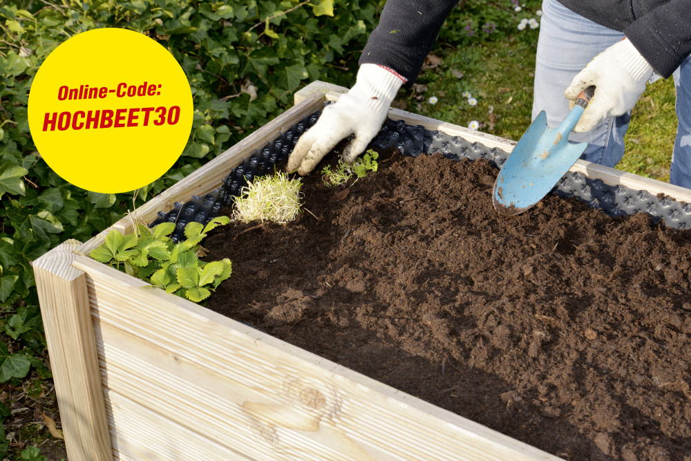Online-Code: Hochbeet30